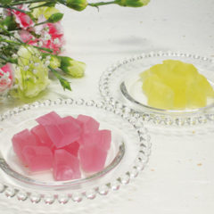 ぶどう氷（ぶどう・れもん）<br>各480円（税込）